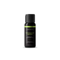 Wicked Sensual Massage Oil