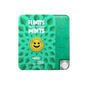 Flintt Mints